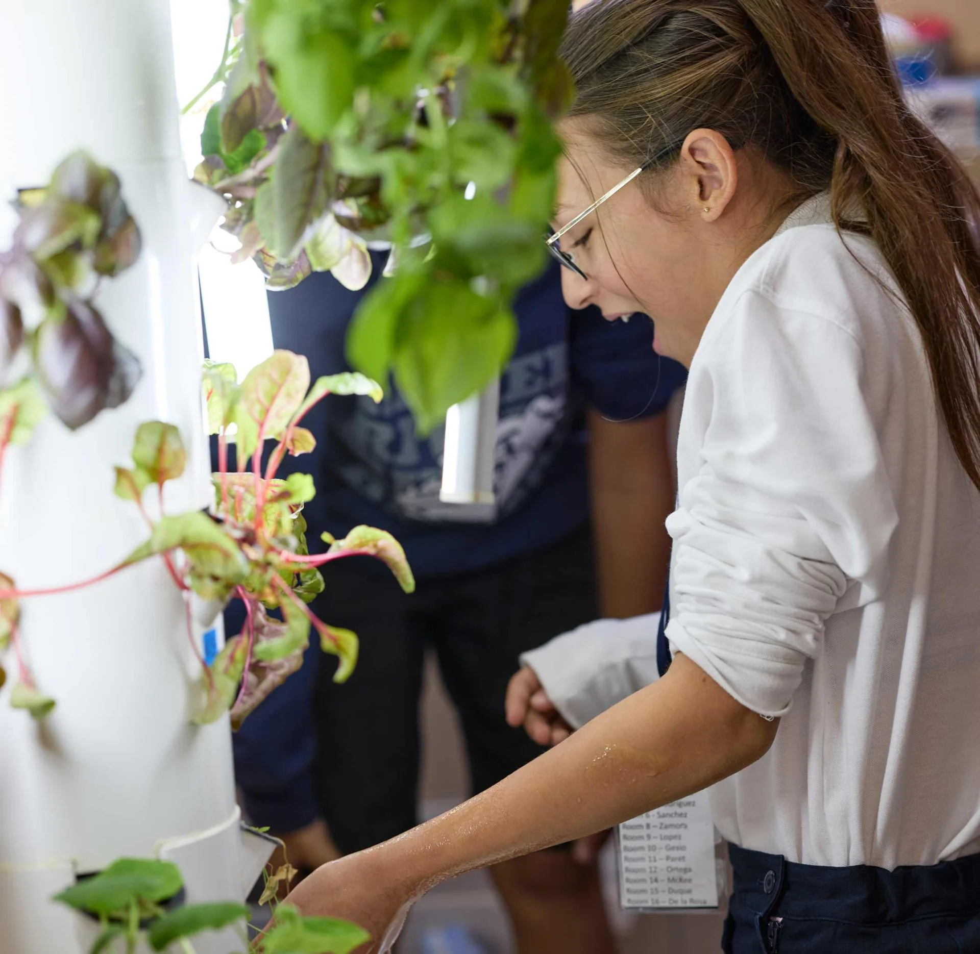 Elementary STEM