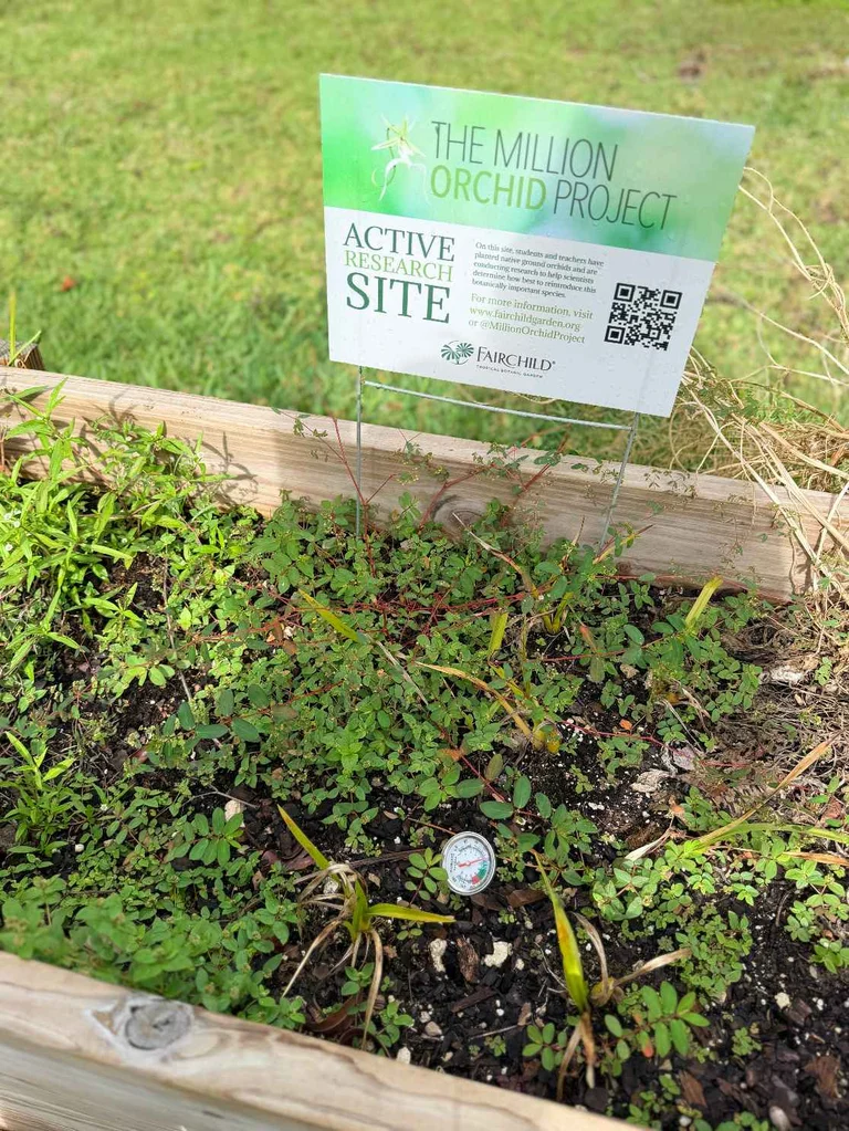Environmental Club 