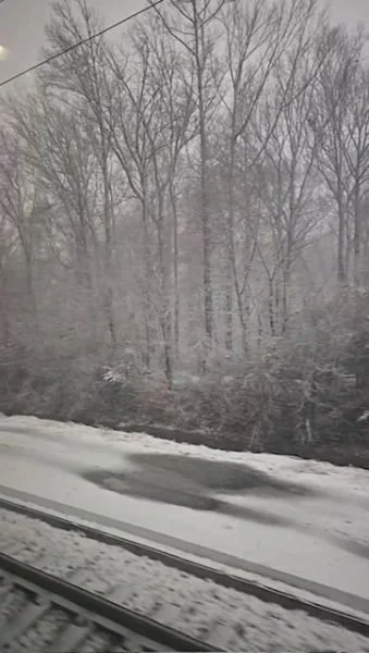 New York’s Unexpected Blizzard